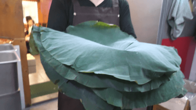 Person holding large lotus leaves indoors