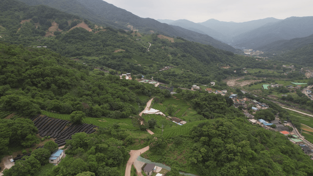 다양한 밭이 보이는 깊은 산골