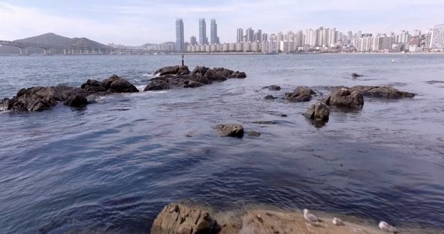 Rocky shoreline with city skyline