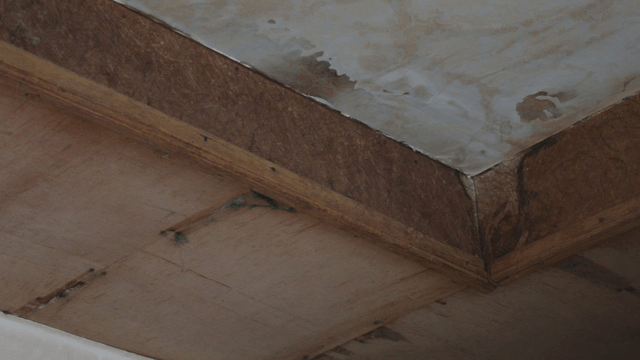 Close-up of a wooden ceiling corner with mold
