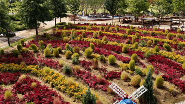 Colorful garden with small windmill