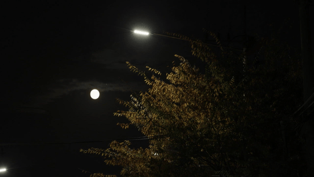 Night sky with a full moon and streetlight
