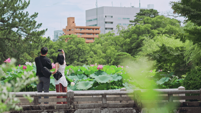 Tourists taking photos in a lotus garden