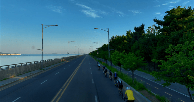 Cyclists riding along a coastal road