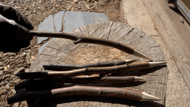 Sharpened wooden sticks arranged on a wooden surface
