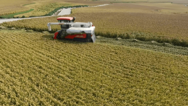 Harvester working in a wide field