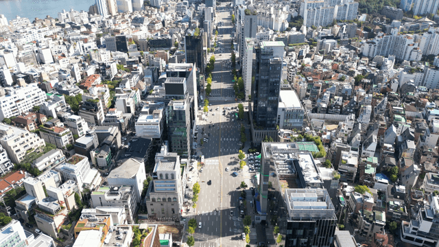 맑은 날씨에 길게 일자로 늘어선 도산대로