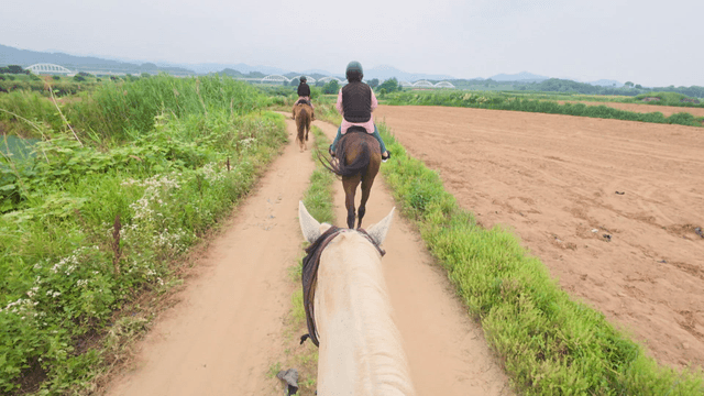 시골 길에서의 승마