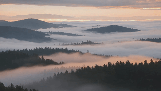 일출 시 안개 낀 산 능선 풍경