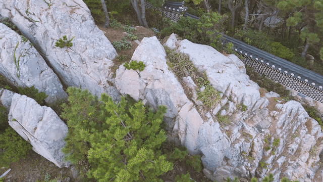 Rocky mountain with pine trees and a Korean traditional fortress