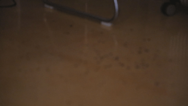 Scattered debris on a wooden floor