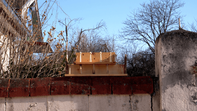 Wooden shelf on brick wall in front of winter trees
