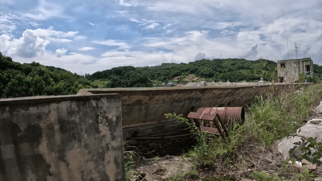 Abandoned rooftop with overgrown plants