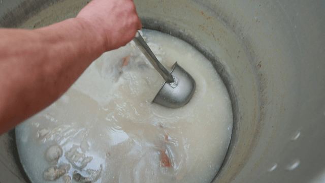 Ladle scooping white bone broth from large pot