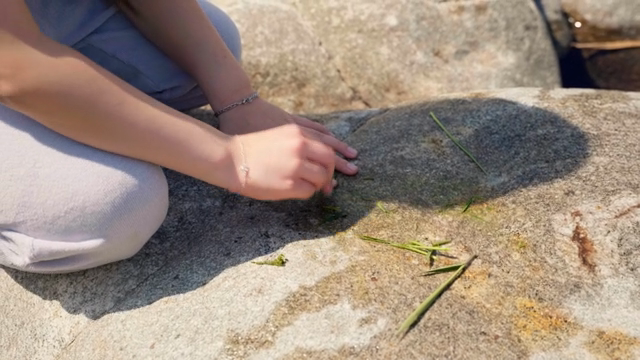 A child playing with grass on a rock