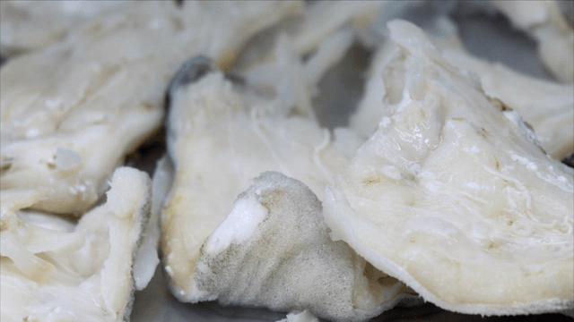 Cod pieces cooling on tray