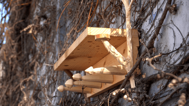 Wooden shelf on a wall covered with dry vines