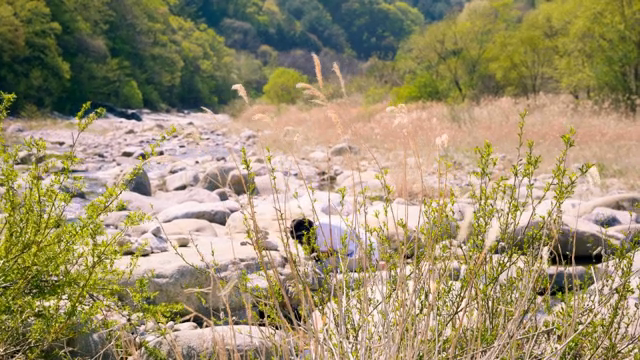 A person exploring a rocky riverbed