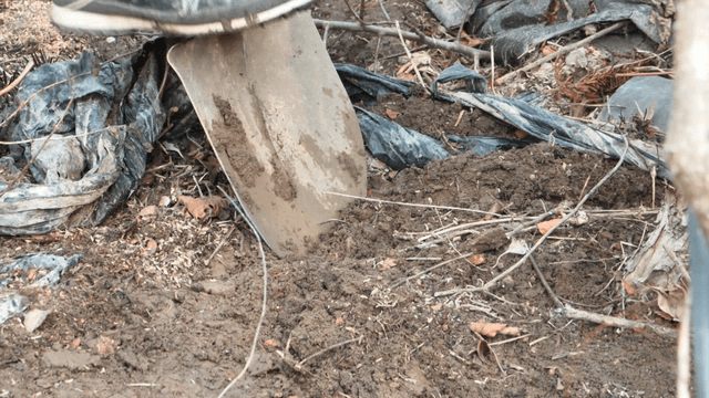 Shovel digging into the soil