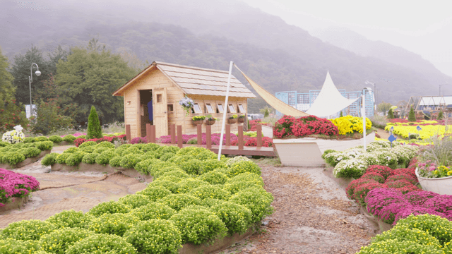 Colorful rounded flower beds surrounding a small wooden house