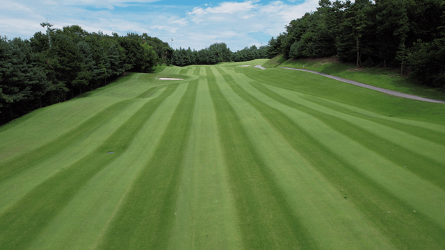 Scenic golf course surrounded by trees
