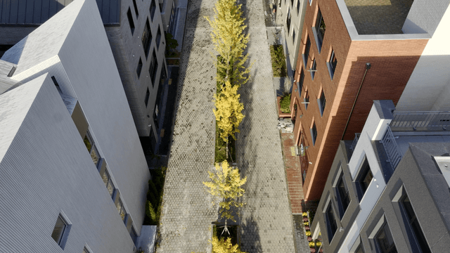 Modern buildings and street with trees