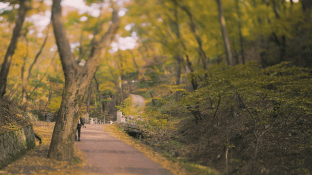 가을 숲길을 걷는 사람