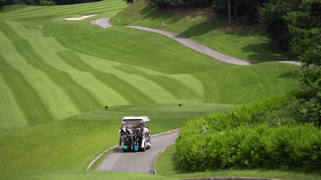 Golf cart on a lush green golf course