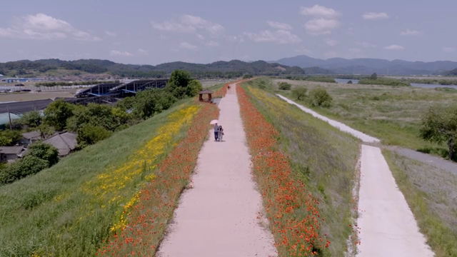 다채로운 꽃이 늘어선 경치 좋은 길