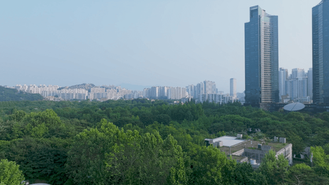 Green forest in downtown Seoul