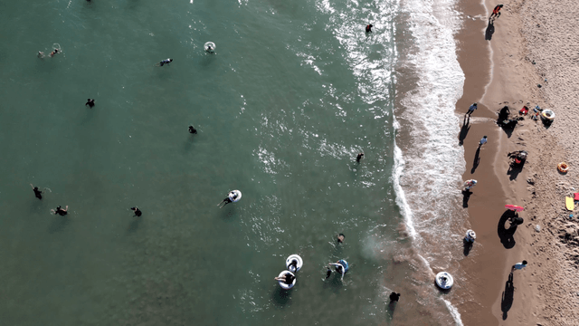 people enjoying a sunny day at the beach