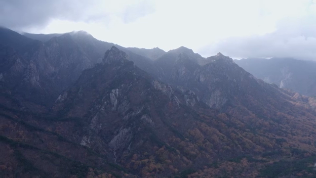 Majestic mountain range with autumn foliage
