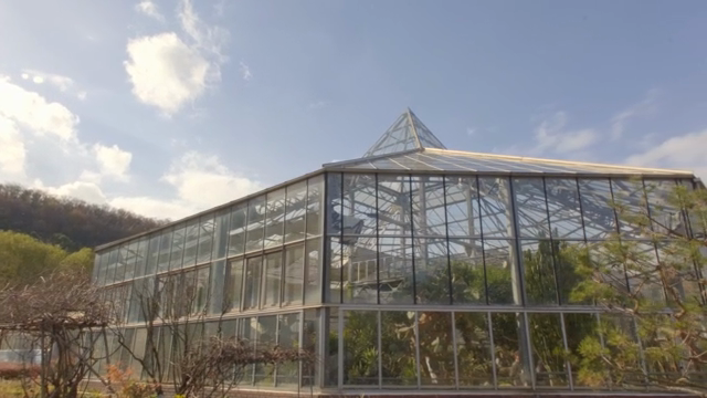 Large greenhouse under a clear sky