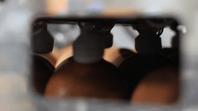 Eggs on conveyor belt inside factory machine