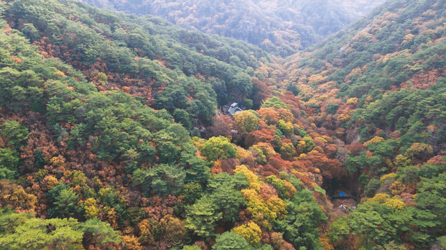 Colorful autumn foliage with a small temple in a dense mountain