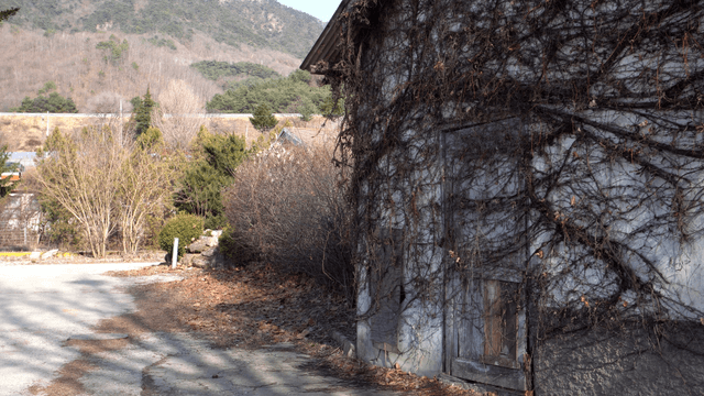 House with wooden door covered in vines and distant mountains