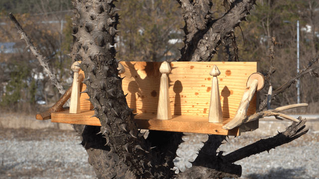 Thorn tree with handcrafted wooden shelf among branches