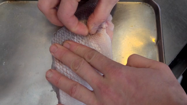 A person removing fish scales by hand
