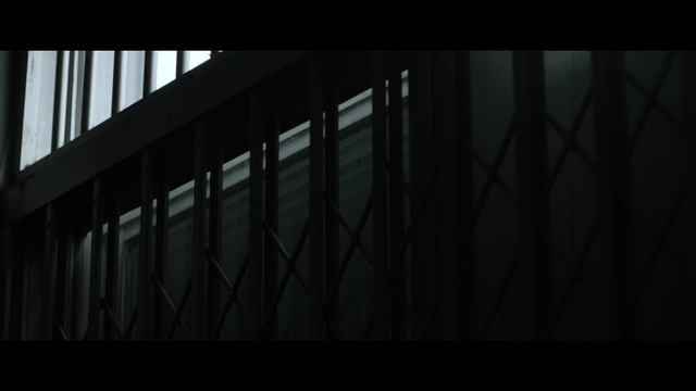 Dark metal bars and windows in a building