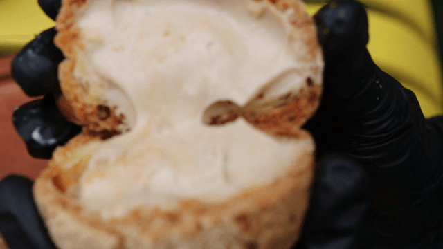 Splitting cream-filled bread by hand