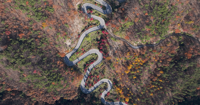 Winding road through autumn forest
