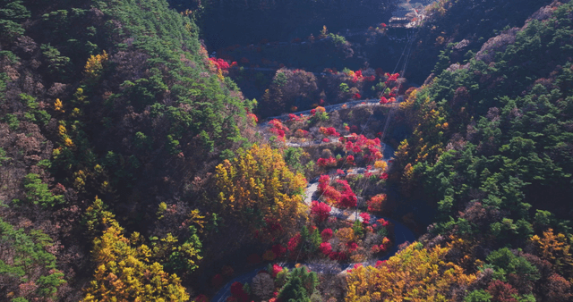 Colorful autumn forest with winding road