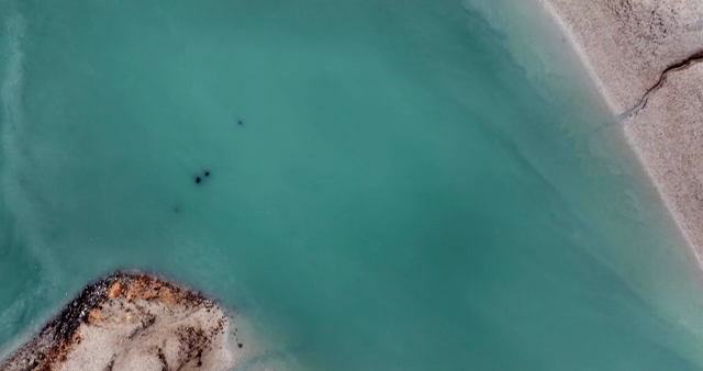 Aerial view of a beach with turquoise water