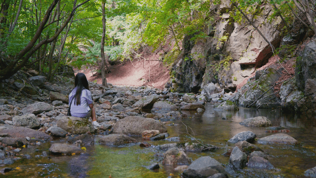 Long-haired woman sitting by a quiet forest stream