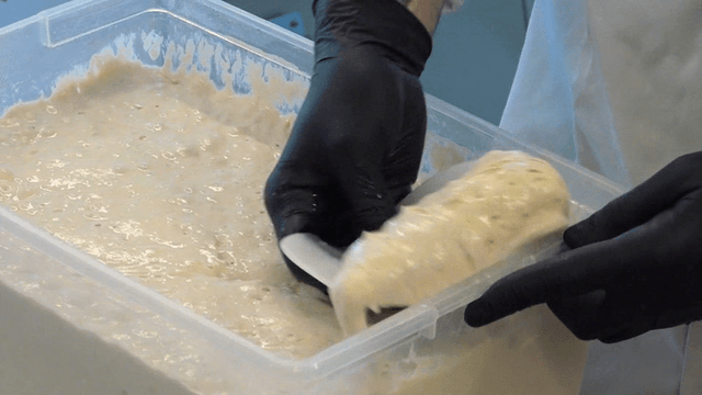 플라스틱 용기에서 떠내지는 찰진 반죽