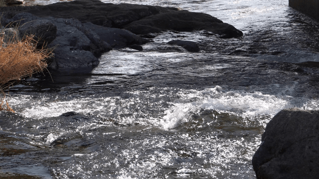 Clear river flowing rapidly