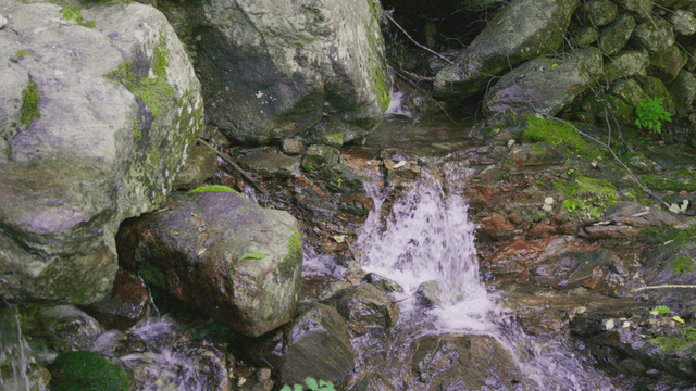 Small valley stream flowing over rocks