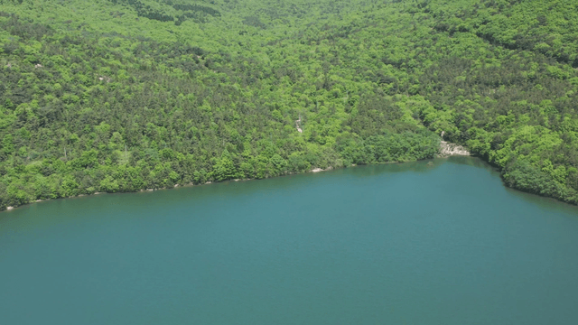 Tranquil lake surrounded by forests at the foot of a mountain