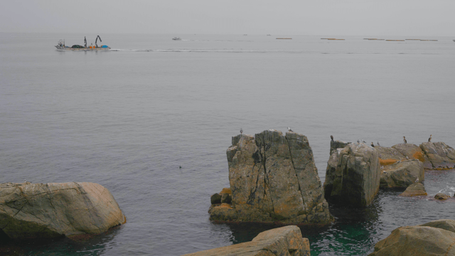 Fishing boat and birds passing over the sea