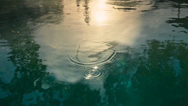 Raindrops falling on the water